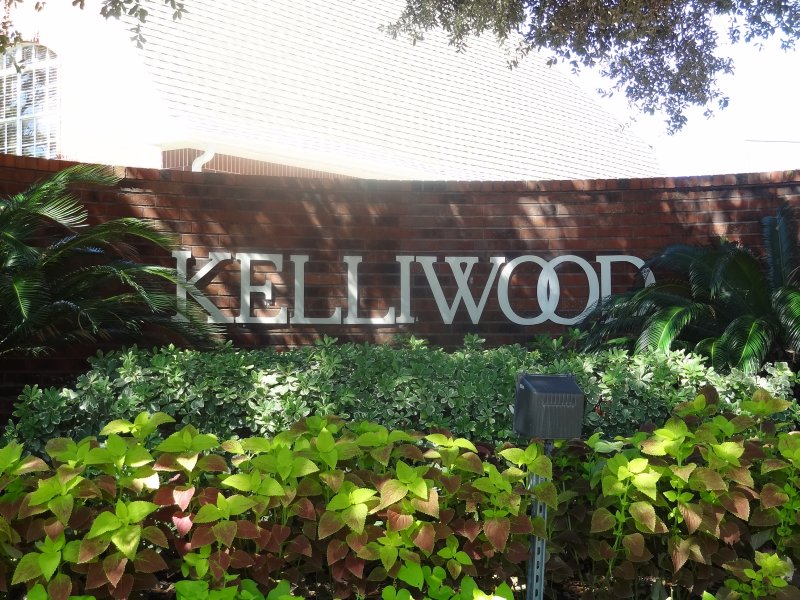 Kelliwood katy4