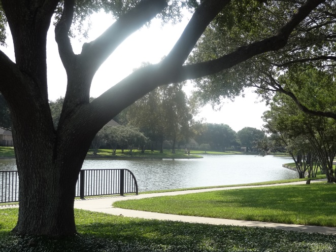 cinco-ranch-lake5