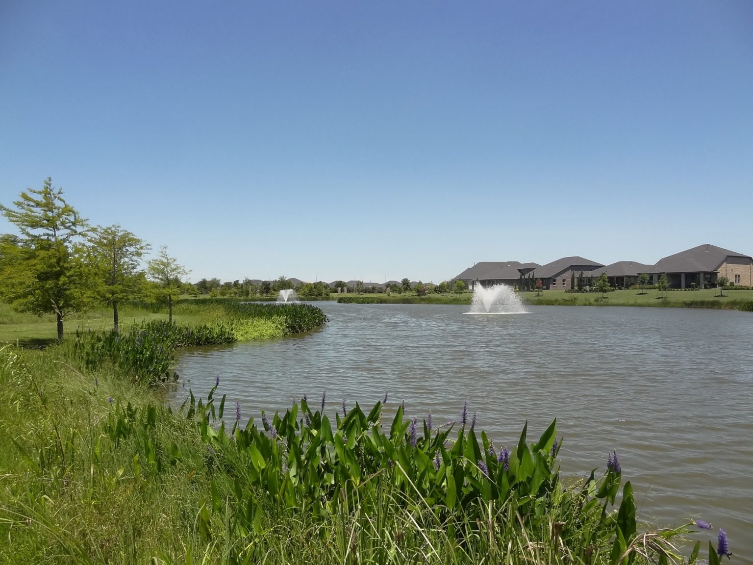 Katy Activities & Fun Things To Do by Sheila Cox 5 Star Realtor