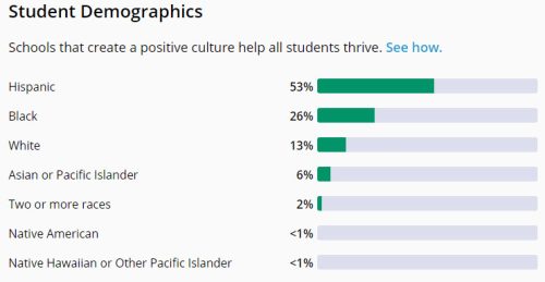 lamar consolidated high school demographics