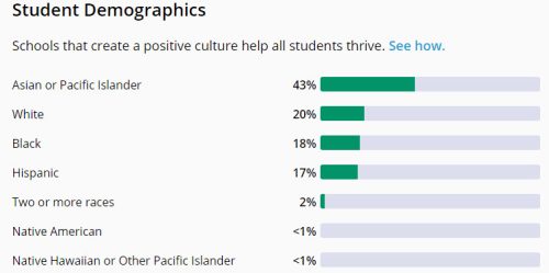 austin high school demographics