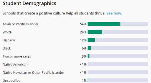 clements high school demographics