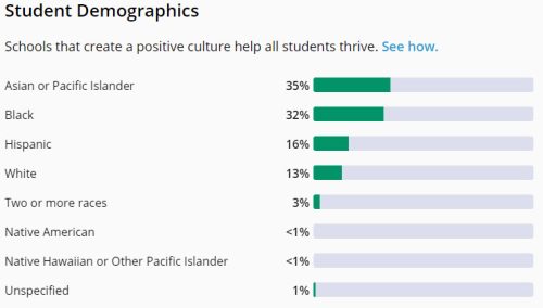 elkins high school demographics